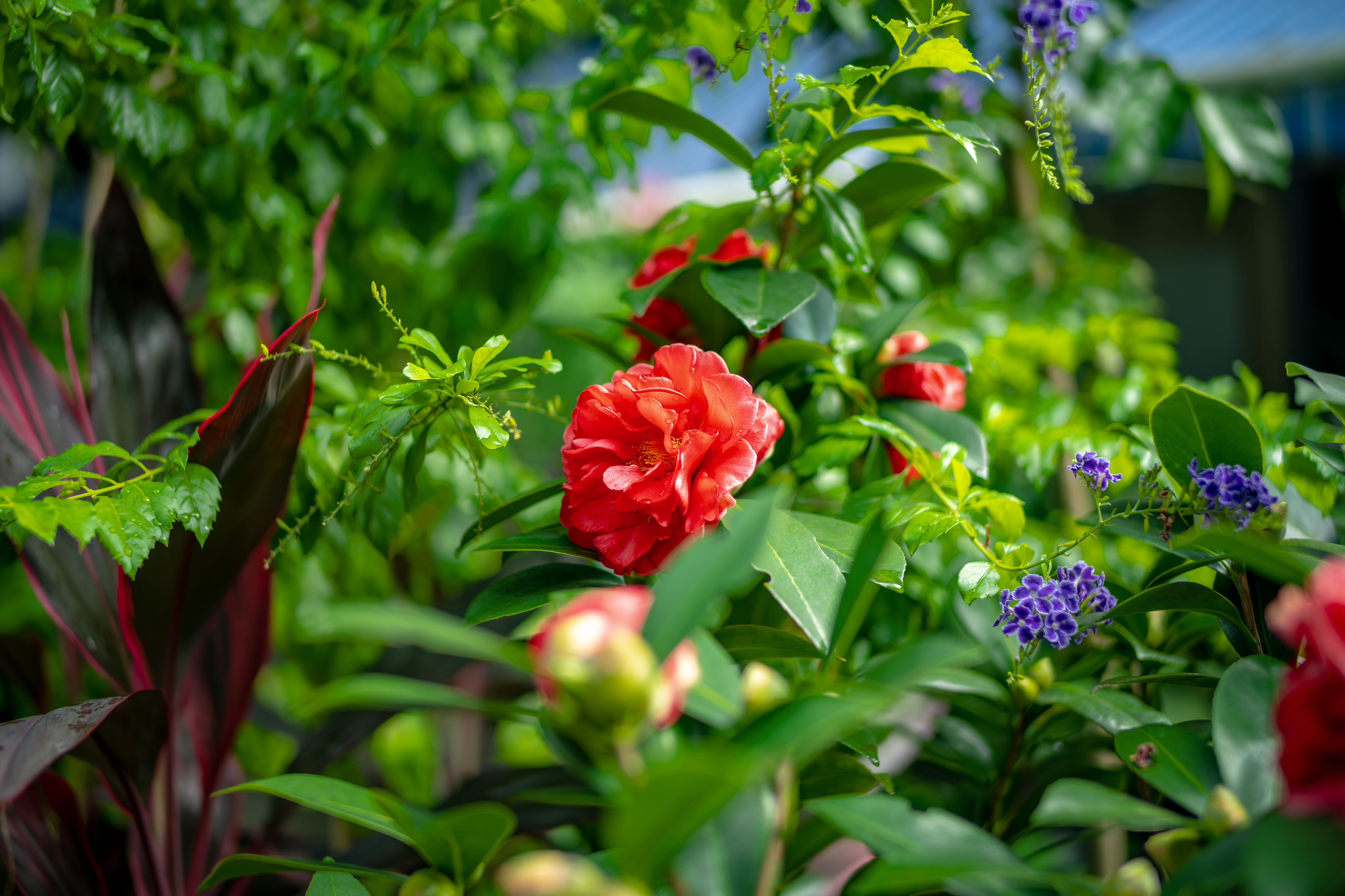 NG����̨-���������