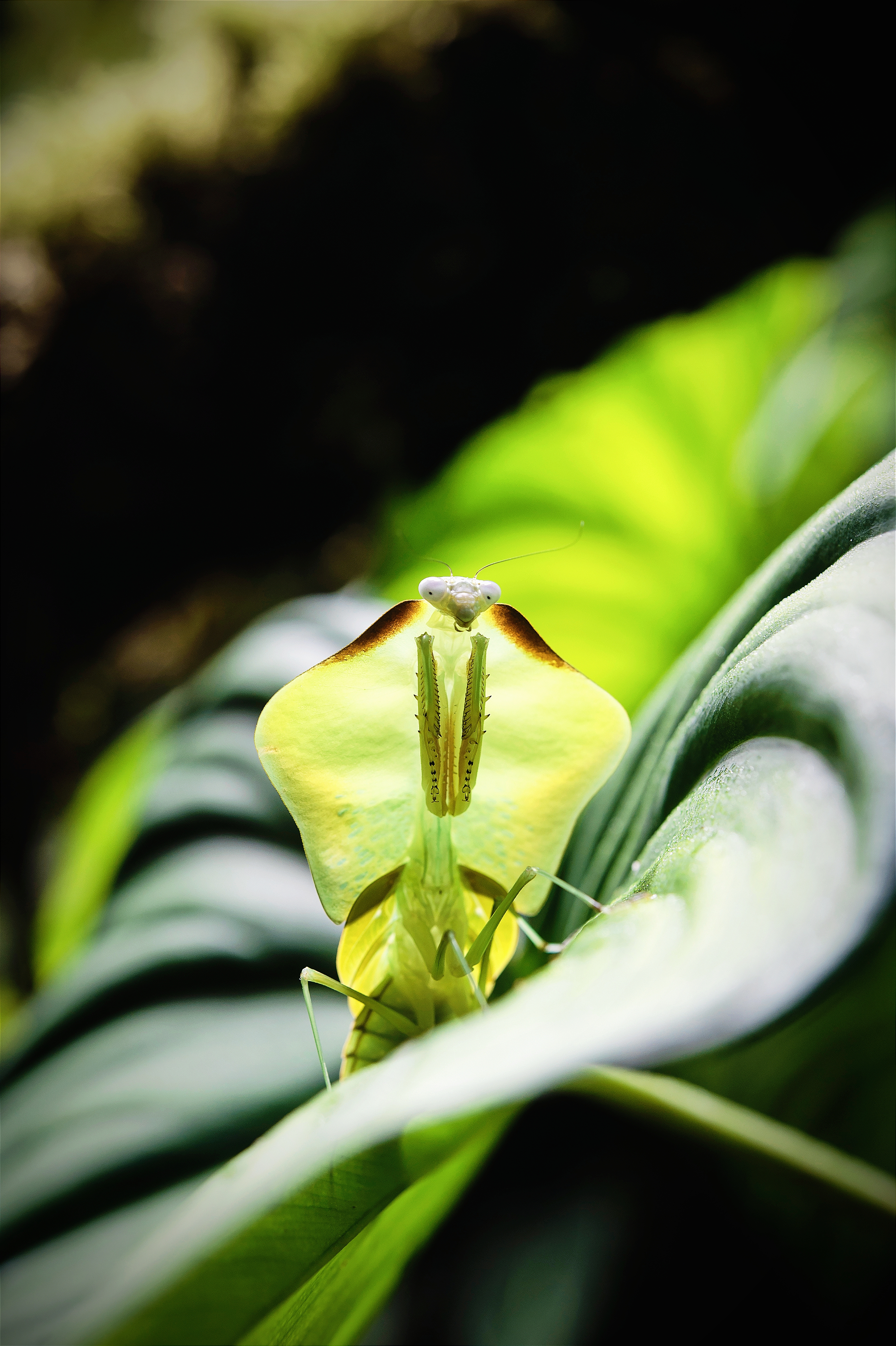 NG����̨-���������