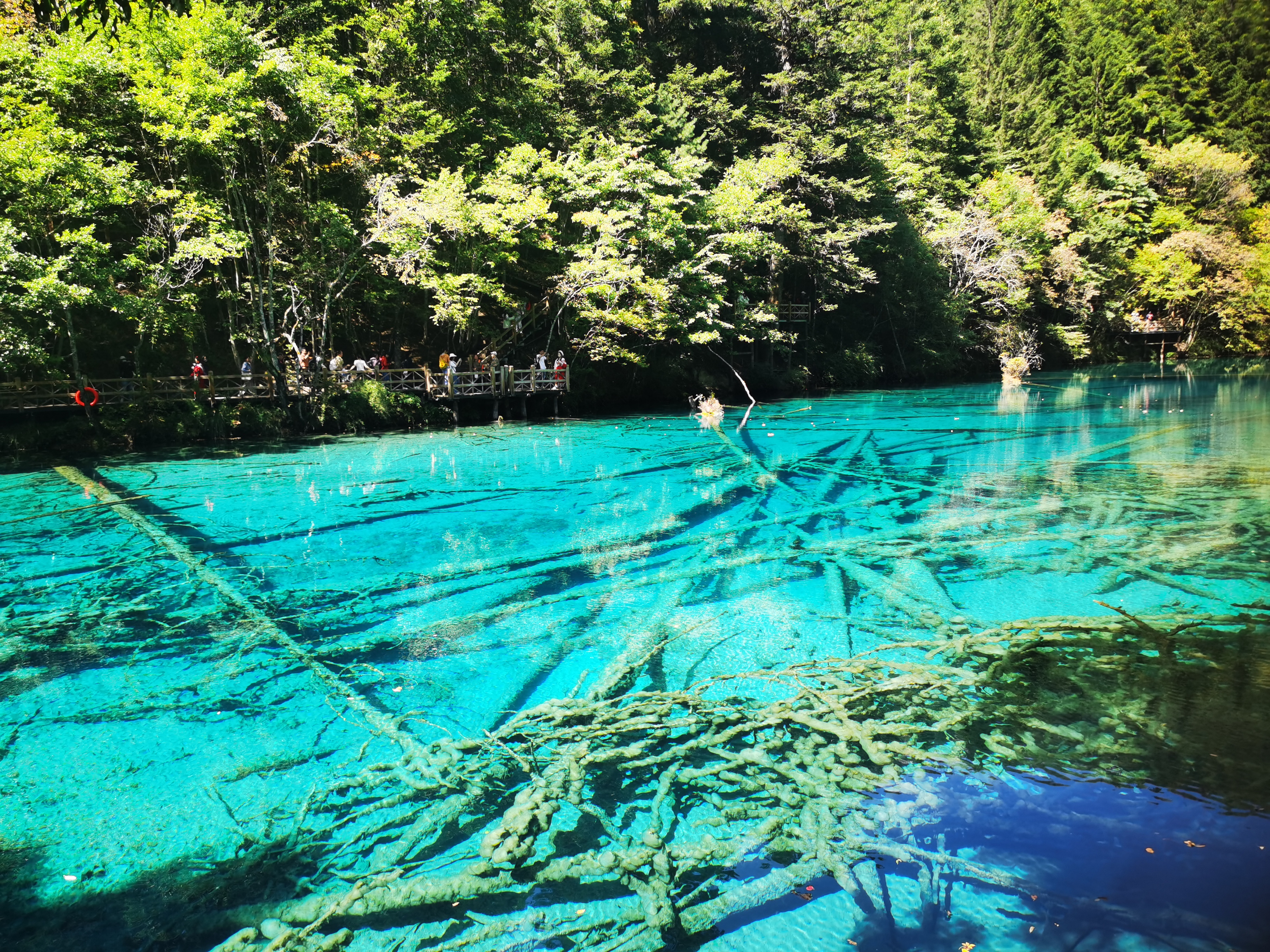 NG����̨-���������