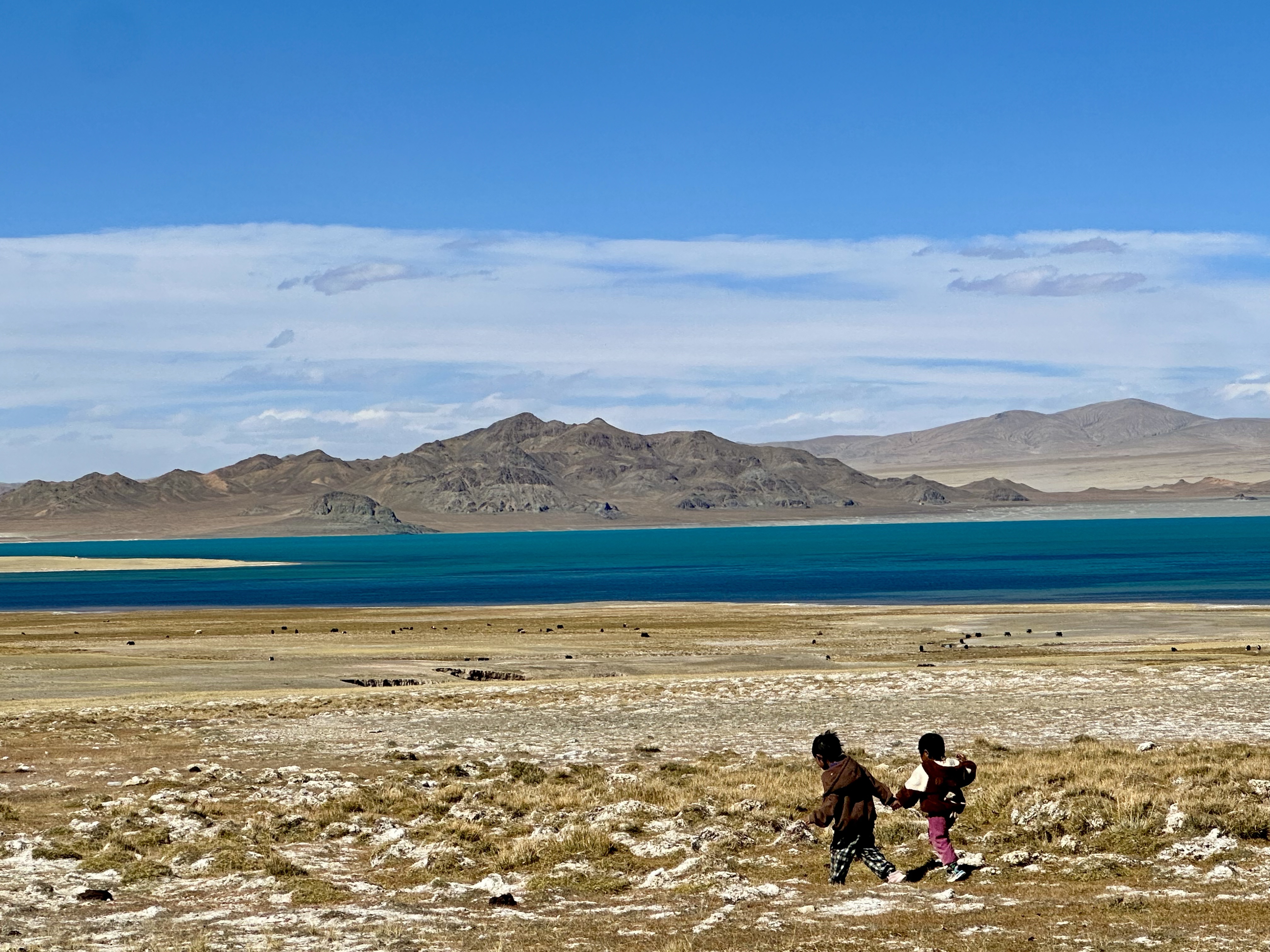 NG����̨-���������