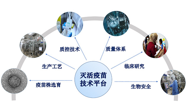 �����������ƽ̨