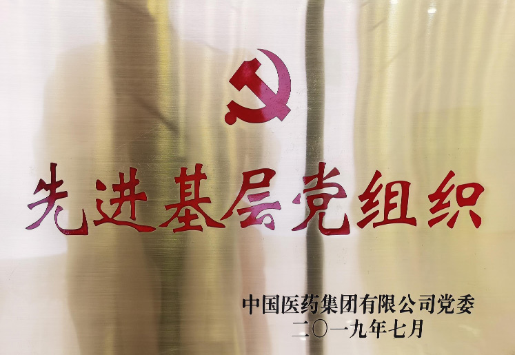 Qualification and Honors