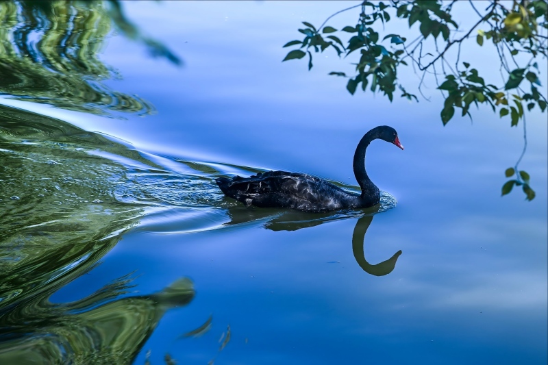 ů�Ĺ����㡱����΢��ɾ� ����Ѱ����ϵ��չ����